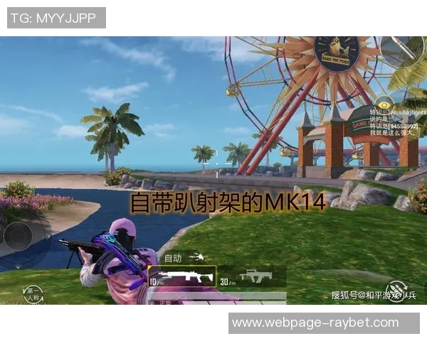 和平精英深度解析：BLG团队协作的成功秘诀与战术运用