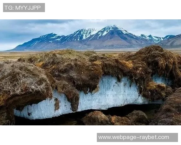 探索亚马尔地区的自然奇观与人文魅力，揭示北极边缘的独特生态与文化传承